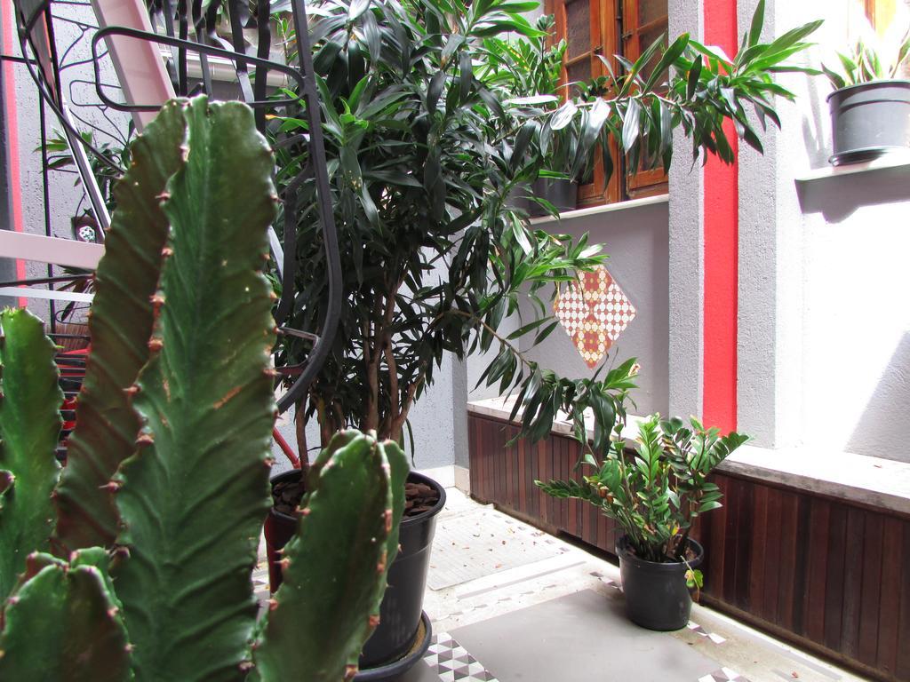Loft Catete Baldo Hotell Rio de Janeiro Exteriör bild